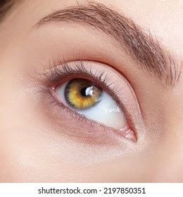 6 608 Macro Nude Stock Photos Images Photography Shutterstock