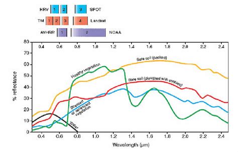 Spectral Reflectance Curve