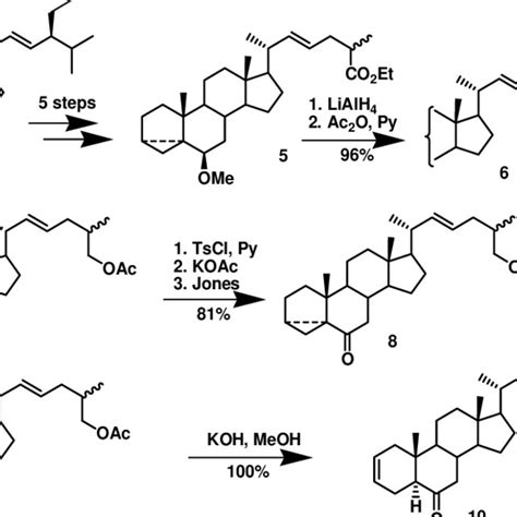 Synthesis of compound 10 from stigmasterol (4). | Download Scientific ...