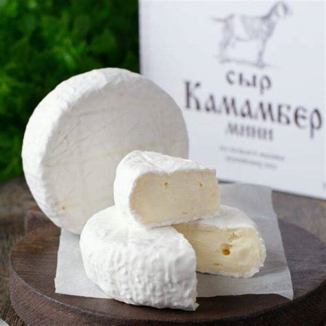 Сыр Камамбер мини из козьего молока - купить козий сыр в Москве- КФХ "Дар"