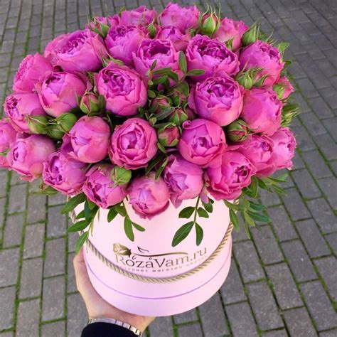 Peonies Bloom De Fleur | Купить Пионы в Москве недорого. Доставка ...