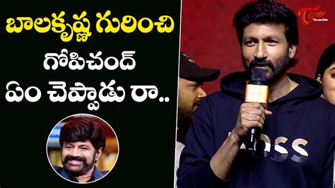 Gopichand Superb Words About Balakrishna At Ramabanam Pre Release Event