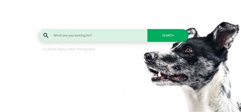 20 Best Free Bootstrap Search Bar Templates 2019 – Avasta 