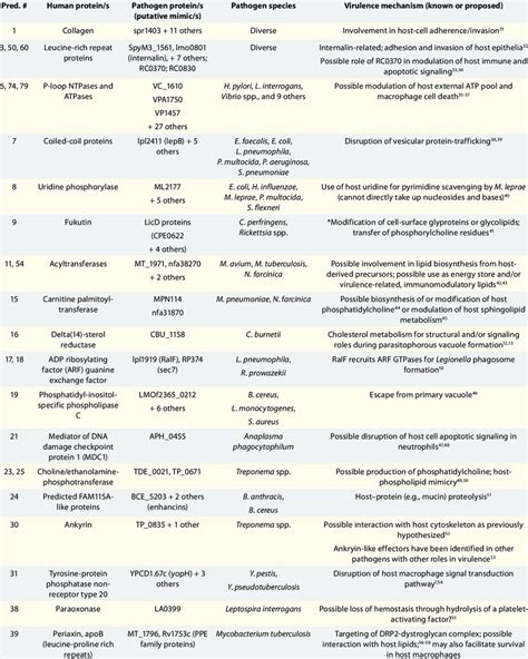 predicted mimicry candidates in human pathogenic bacteria and potential ...