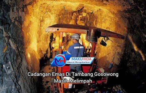 Cadangan Emas Di Tambang Gosowong Masih Melimpah Makuhida