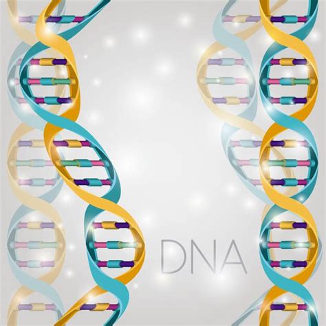 Premium Vector | Dna molecule structure