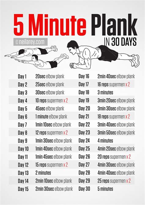 Five Minute Plank Challenge Plank Workout Workout Challenge 30 Day