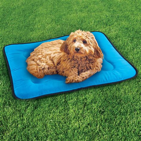 Indoor And Outdoor Waterproof Memory Foam Pet Mat Collections Etc