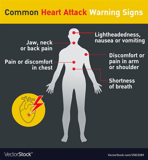 Common Heart Attack Warning Signs Design Vector Image