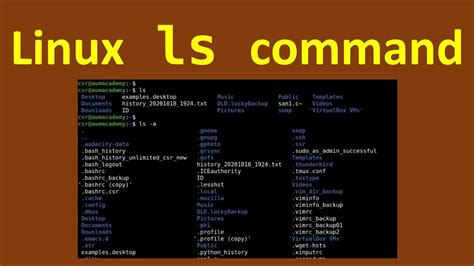 Linux Ls Command Overview With Options Youtube