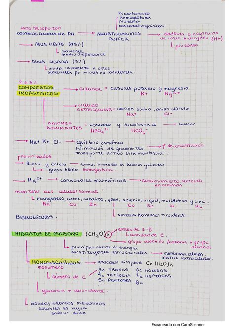 SOLUTION Unidad 1 2 Introducci N A La Biolog A Celular Studypool