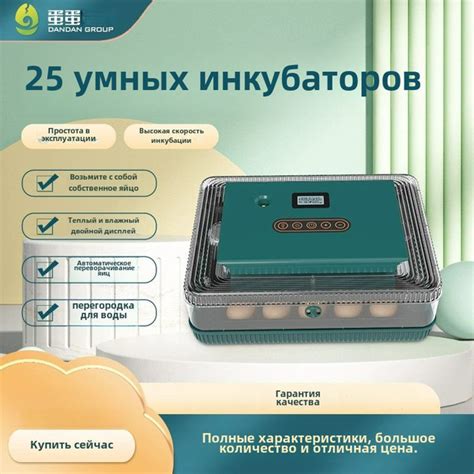 Инкубатор Smart Egg/25 купить на OZON по низкой цене (1657284878)