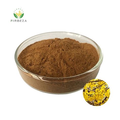 Pure Natural Fructus Forsythiae Extract Powder China Forsythia