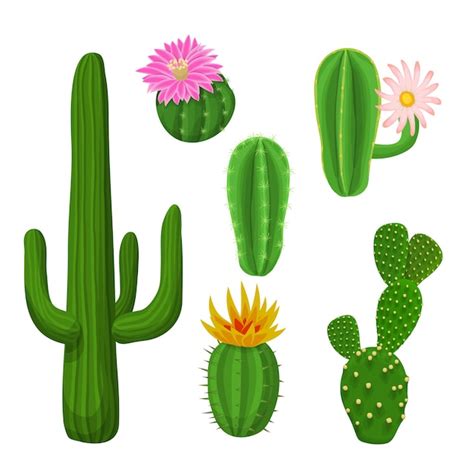 Premium Vector Cacti Plant Set