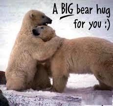 Animals hugging on Pinterest | Bear Hugs, Hug Quotes and Free Hugs