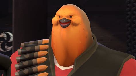 Quick The Mods Are Asleep Upvote This Pootis Bird Rtf2memes