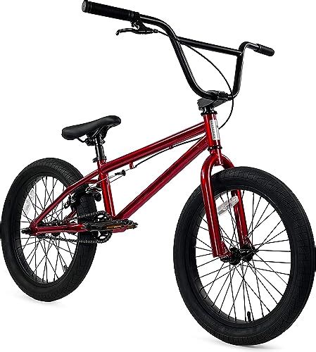 Best Bmx Bikes For Beginners Beaver Biker