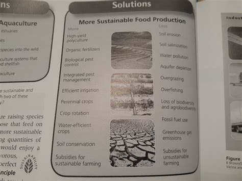 bio chapter 7 Flashcards | Quizlet 