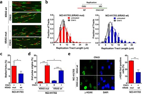 Impact Of CHK1 Kinase Inhibition On Replication Stress In KRAS Mutant