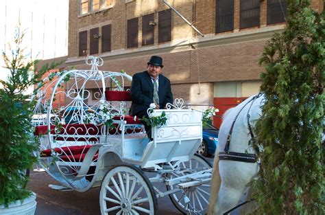 Dream Horse Carriage Company: Cinderella Pumpkin Carriage Wedding in ...