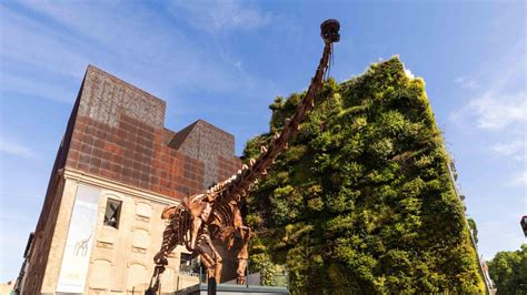 Caixaforum Madrid Viaja A La Patagonia De La Era Mesozoica En Su Nueva