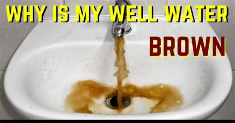 The Causes Brown Well Water A Sudden And How To Get Rid Of It