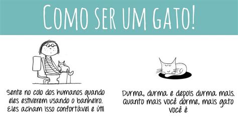 Como Ser Um Gato Cover Blog Petiko