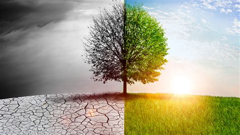 Climate change | Climate change causes | Climate change effects ...