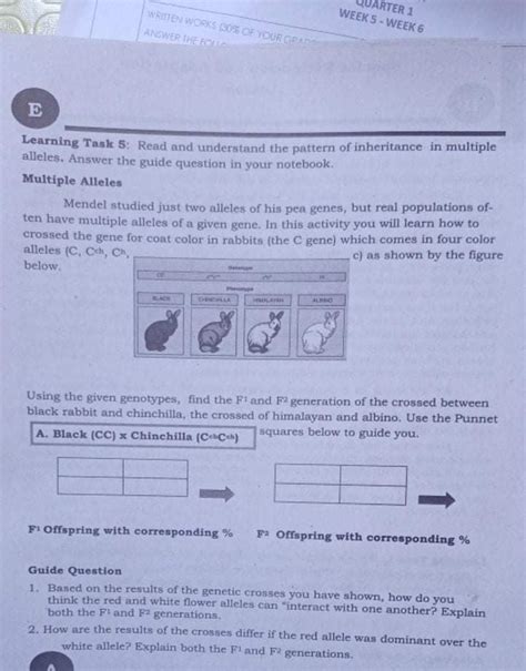 Answered Learning Task 5 Read And Understand Bartleby