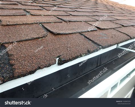 Roof Hail Damaged Shingles Inspection Stock Photo 1528987076 | Shutterstock