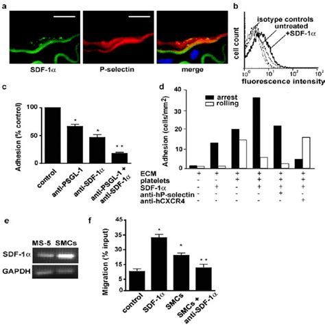 Sdf And Platelets Act In Concert To Recruit Progenitor Cells Early