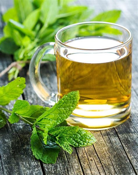 Benefits Of Drinking Tulsi Water In Morning One Drop Wellness