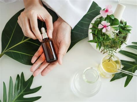 Quais São As Diferenças Entre Cosméticos Naturais Orgânicos E Veganos