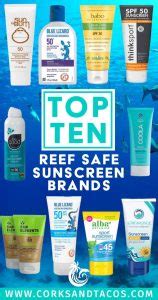 A Guide to Reef Safe Sunscreen and Top 10 Brands