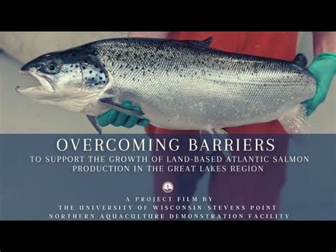 Ras Videos Land Based Aquaculture For Atlantic Salmon