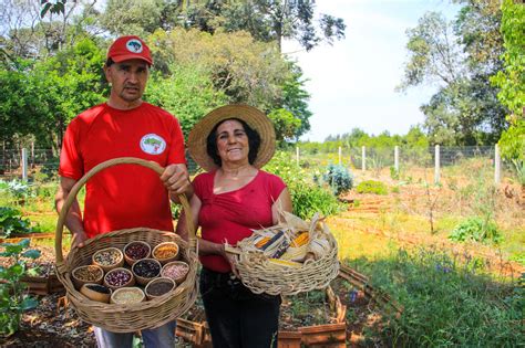 Pontos Sobre A Agricultura Familiar E O Mst Mst