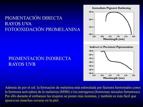 Tema Radiaci N Ultravioleta Y Piel Humana Ppt Descargar