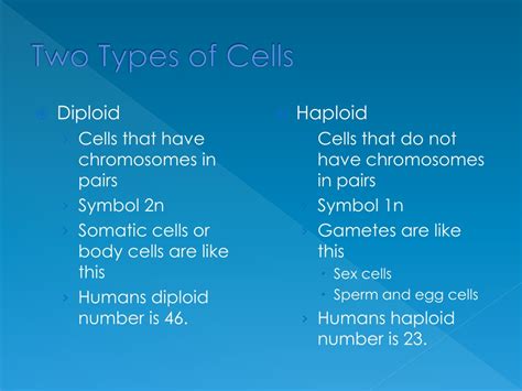 Ppt Chapter 8 Cell Reproduction Powerpoint Presentation Free Download Id 9368391