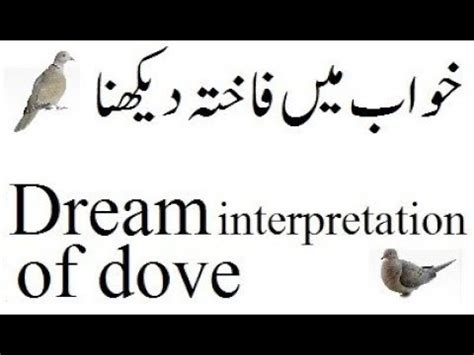 Khwab Mein Fakhta Dekhna Dream Interpretation Of Dove Youtube