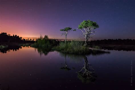 Wallpaper Reflection Nature Sky Tree Wetland Night Atmosphere