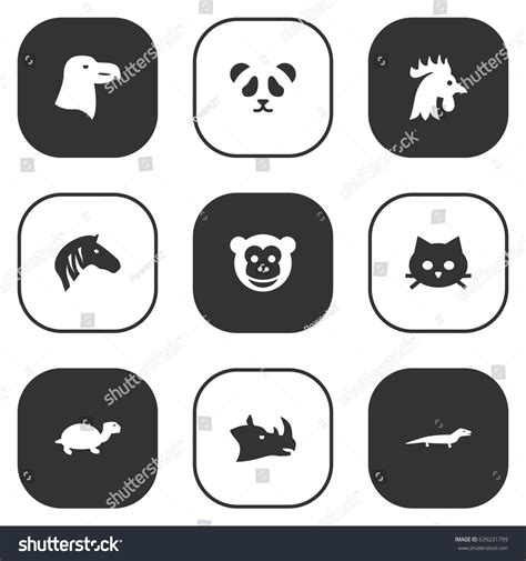 Set Beast Icons Setcollection Aquila Stock Vector Royalty Free