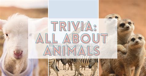 120 Fun Animal Trivia Questions and Answers - Land of Trivia