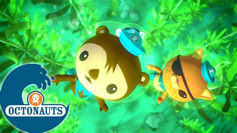 Octonauts La forêt de varech géant Dessins animés pour enfants