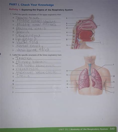 Solved B D Part I Check Your Knowledge Activity 1