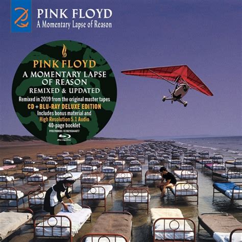 Pink Floyd A Momentary Lapse Of Reason Remixed