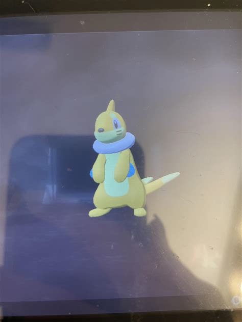 3rd shiny Buizel in PLA! Randomly got her while heading to a Chansey ...