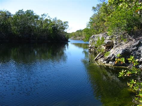 Dagny Johnson Key Largo Hammock Botanical State Park 036