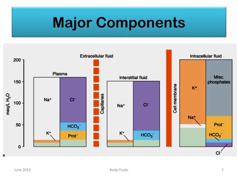 Ppt Body Fluids Powerpoint Presentation Free Download Id 4822314