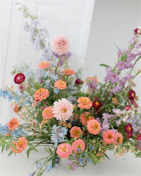 persephone flower 2