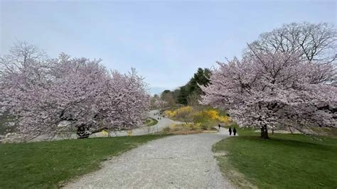 Public Gardens In Massachusetts A Guide For Nature Lovers